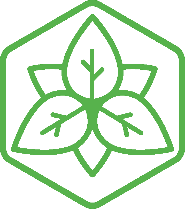 3 leaves green logo